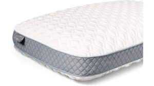 Sealy Molded Bed Pillow Review: Comfort Tested