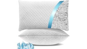 Shredded Memory Foam Pillows Review