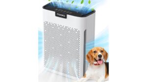MOOKA H13 HEPA Filter Review