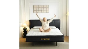 Weishini 12 Inch Queen Mattress Review